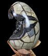 Septarian Dragon Egg Geode - Black Crystals #88184-3